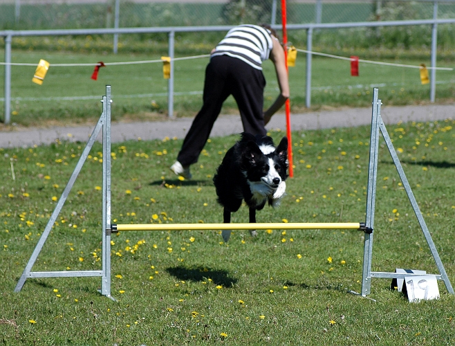2006-06-10 (23).JPG - Uppvisning av Köpings Hundungdom